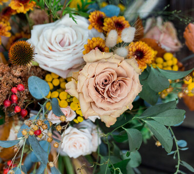 Fall flowers seaonal